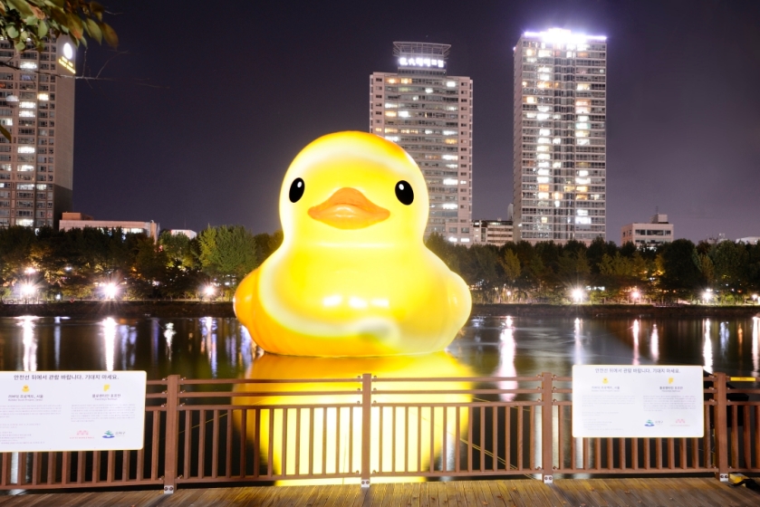 Glowing Duck