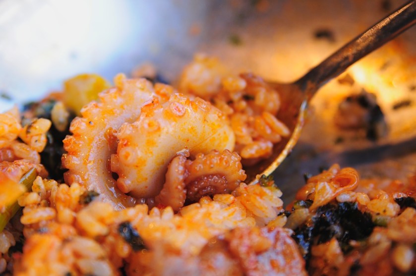 Papa octopus close up