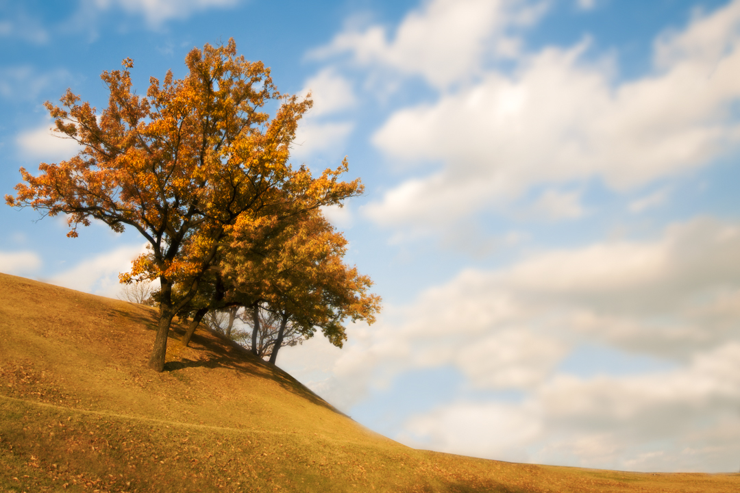 Seoul Photos: Olympic Park&nbsp;(올림픽공원)