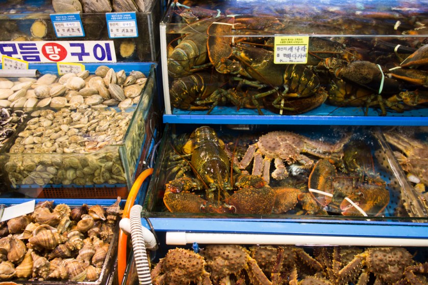 Noryangjin Large Lobster