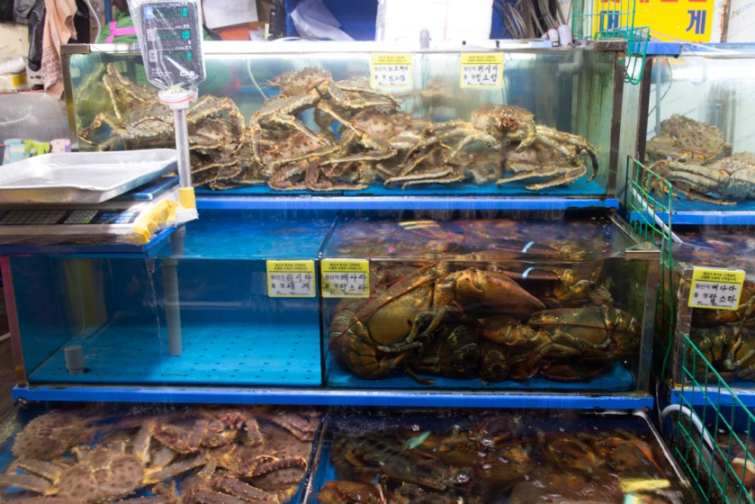 Noryangjin Lobster Pile Up