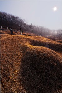 family burial grounds 1080p