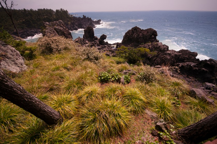 중문대포해안주상절리대