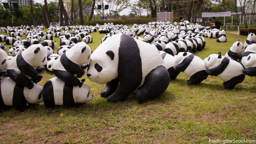 Panda 1600 Exhibit-10