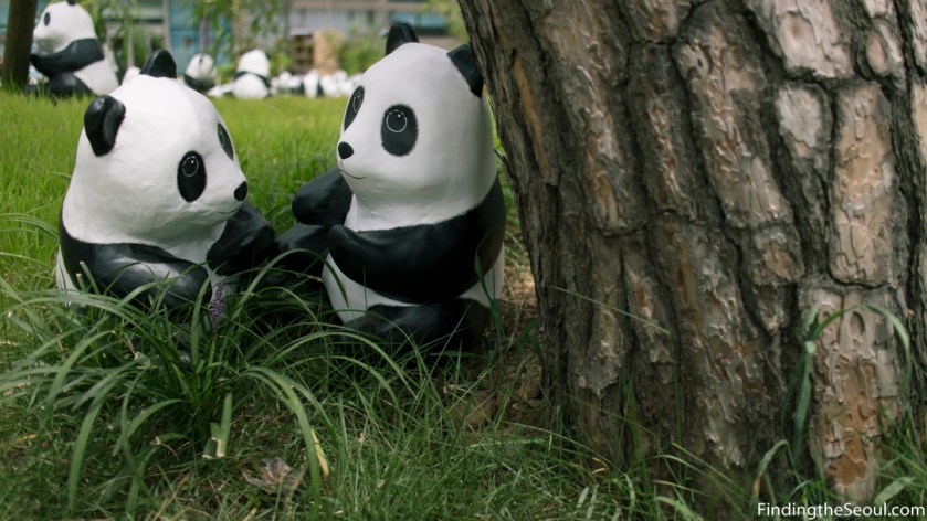 Panda 1600 Exhibit-3