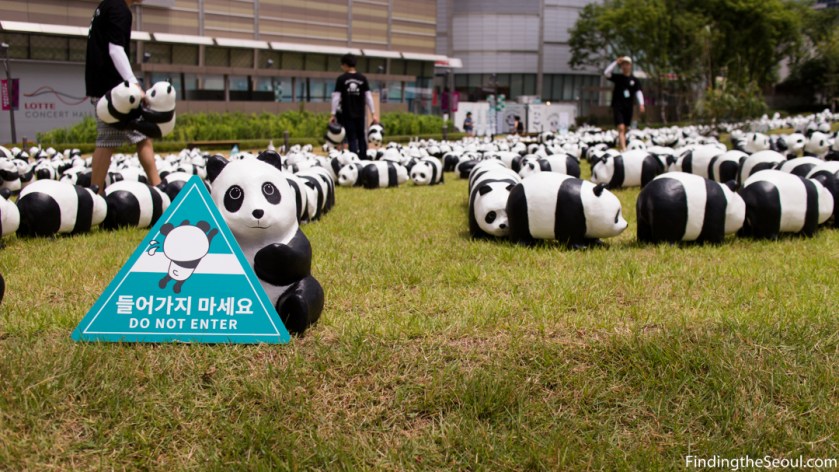 Panda 1600 Exhibit-5