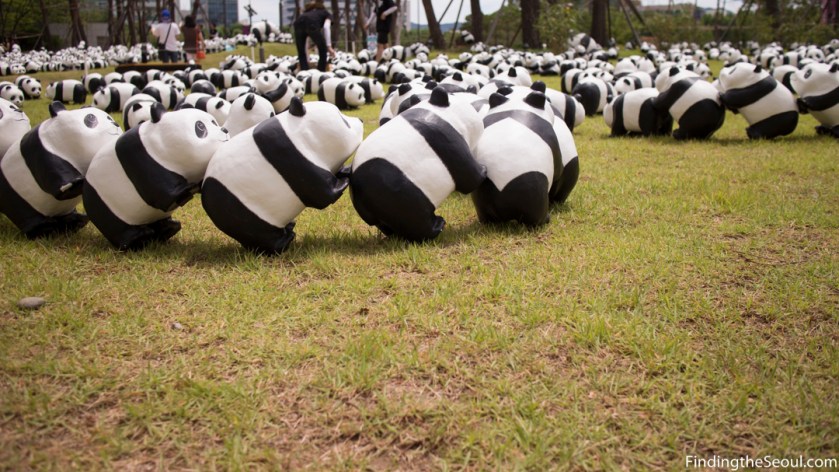 Panda 1600 Exhibit-7