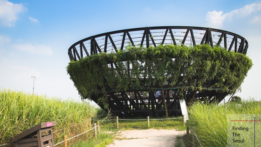 haneul-park-dome_mg_9173