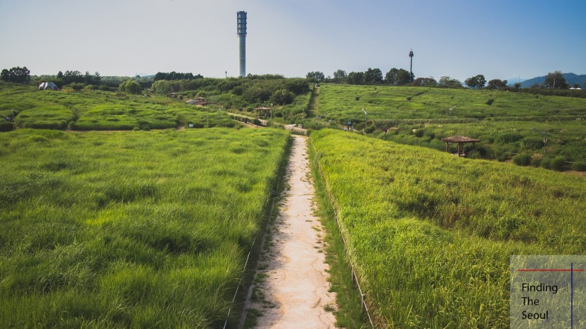 haneul-park-sky-2_mg_9166