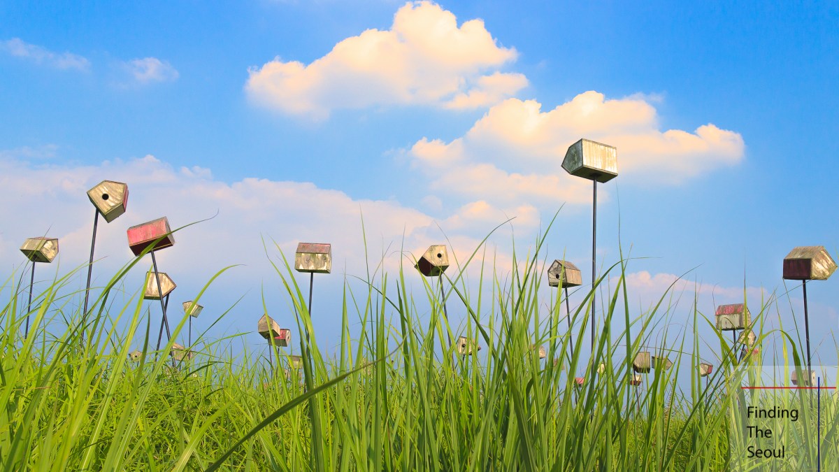 Sightseeing in Seoul: Haneul Park&nbsp;(하늘공원)