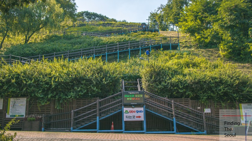 haneul-staircase_mg_9154-2