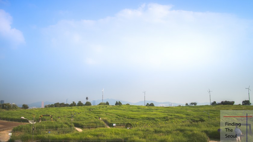hanuel-park-sky-1_mg_9185